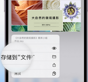 光山apple维修中心分享iPhone文件应用中存储和找到下载文件