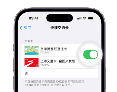 光山apple维修点分享iPhone上更换Apple Pay快捷交通卡手绘卡面 