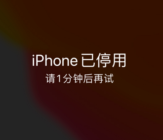 光山苹果手机维修分享:iPhone 显示“不可用”或“已停用”怎么办？还能保留数据吗？ 