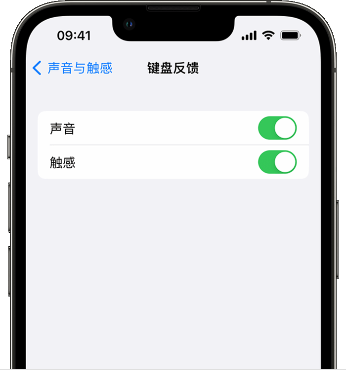 光山苹果14维修店分享如何在 iPhone 14 机型中使用触感键盘 