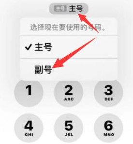 光山苹果14维修店分享iPhone 14 Pro Max使用副卡打电话的方法 