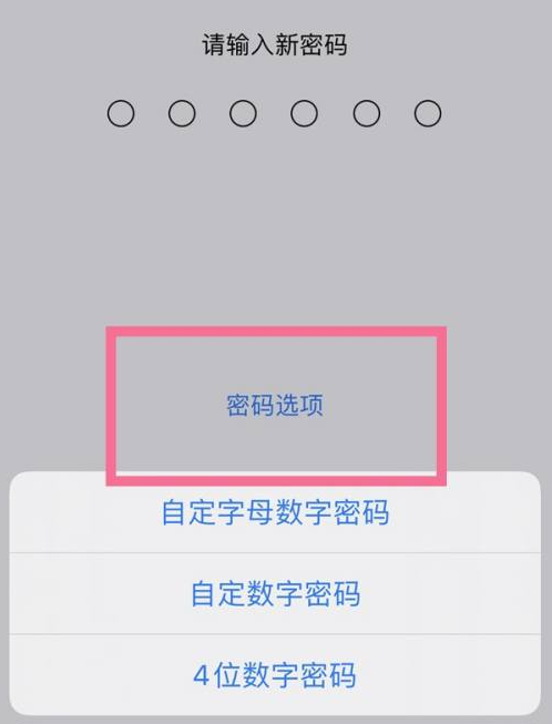 光山苹果14维修分享iPhone 14plus设置密码的方法 