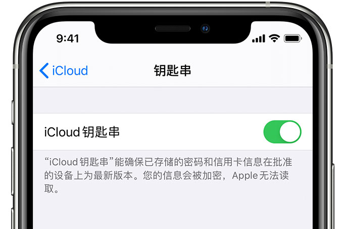 光山苹果手机维修分享在 iPhone 上开启 iCloud 钥匙串之后会储存哪些信息 