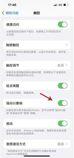 光山苹果手机维修分享iPhone手机如何设置摇一摇删除文字 